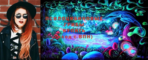индика Балабаново