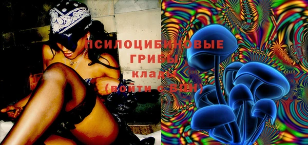 метадон Белокуриха