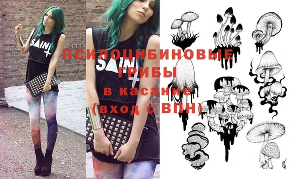 индика Баксан