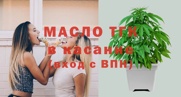 индика Баксан