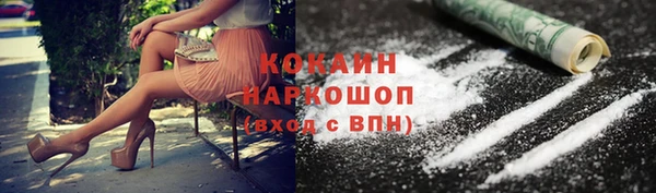 индика Баксан