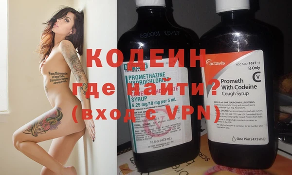 индика Баксан