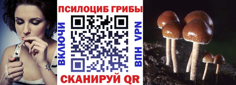 Псилоцибиновые грибы GOLDEN TEACHER Кувандык