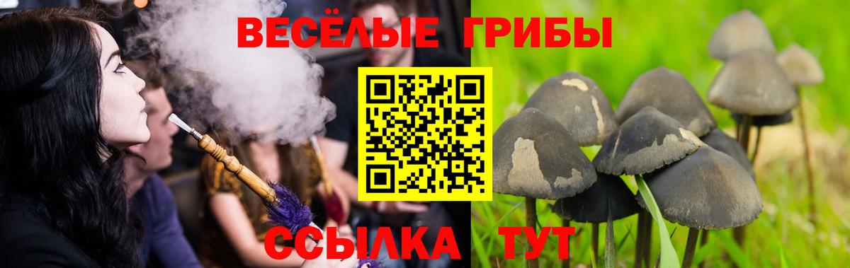Кувандык  Галлюциногенные грибы мухоморы  Вход с VPN  Галлюциногенные грибы ЛСД 